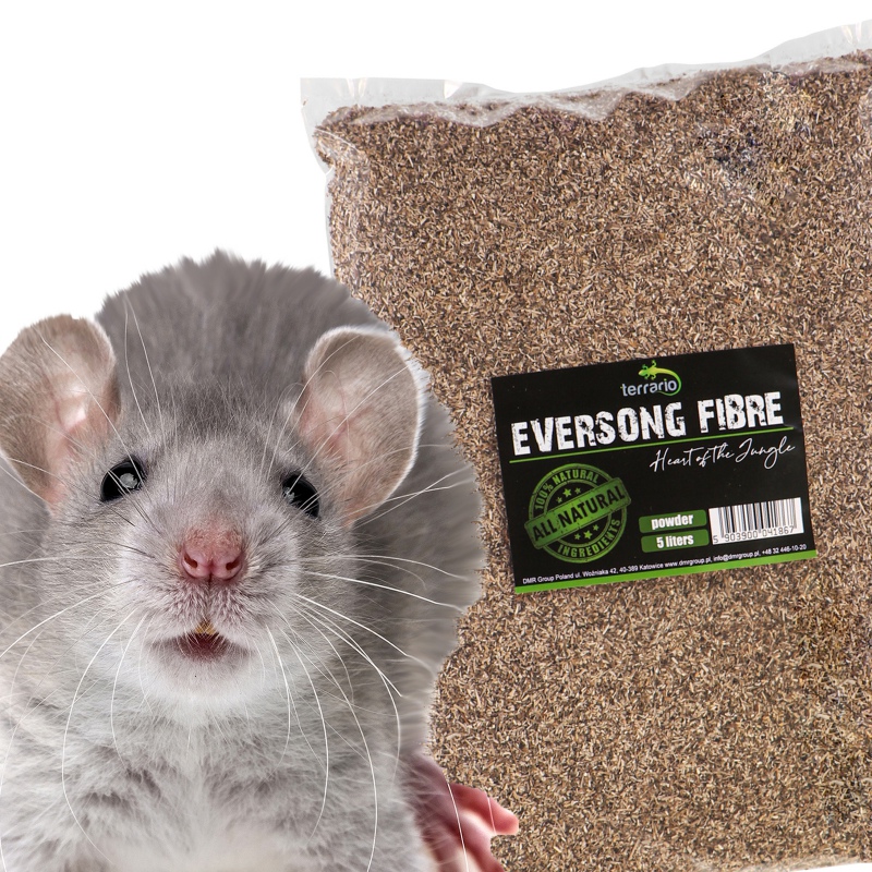 Terrario Eversong Fibre Porpor 5l