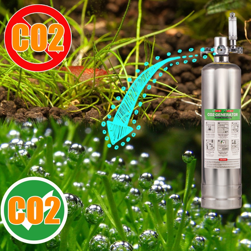 Green Bubbles CO2 Generator für Aquarien