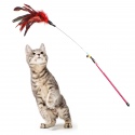 HappyPet Manhattan Cat Teaser - jouet pour jouer ensemble