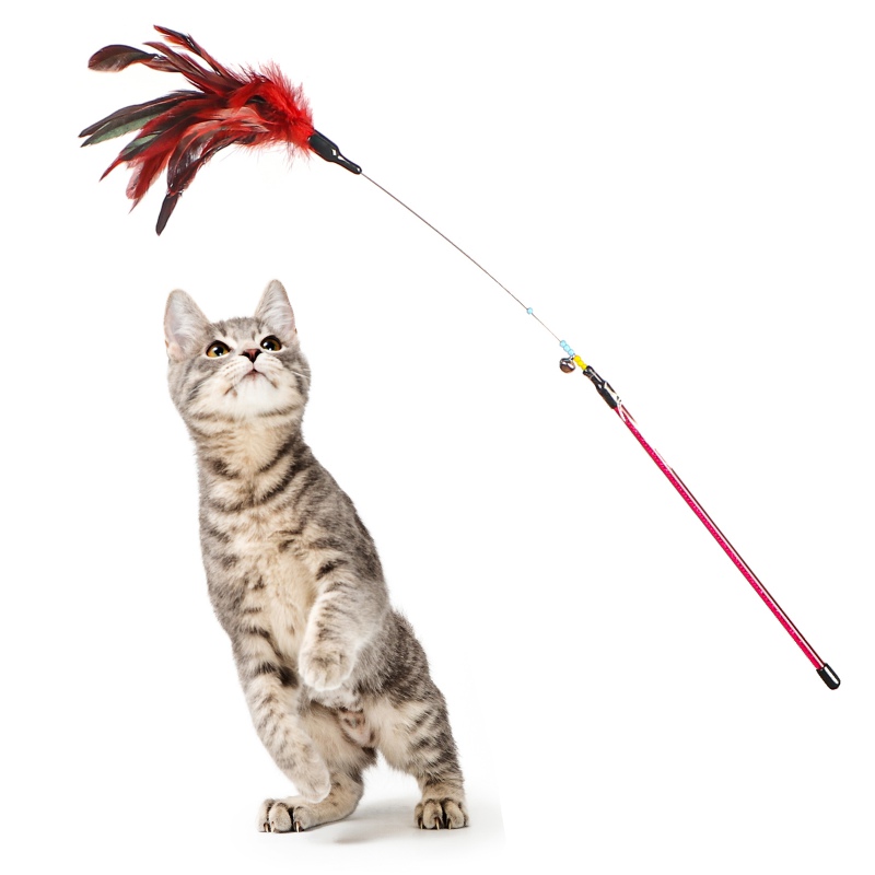 HappyPet Manhattan Cat Teaser con plumas