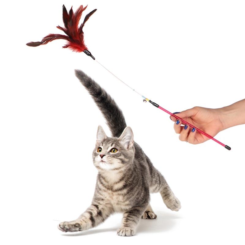 HappyPet Manhattan Cat Teaser avec plumes