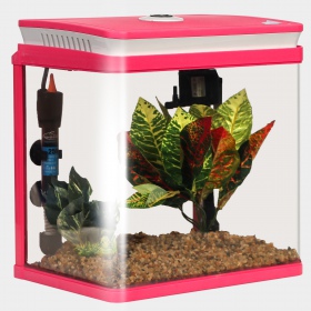 SUNSUN Elegant Aquaset Full pink - aquarium set 14l