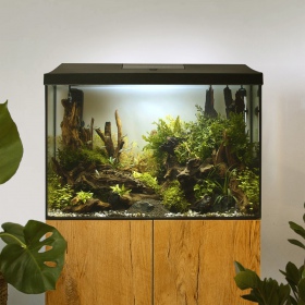 Acquario Aquael Leddy 60 Day&Night XL Nero 2.0