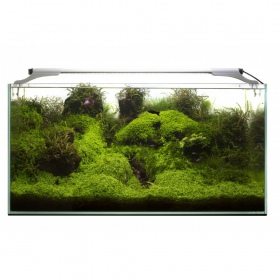 Aquael LEDDY SLIM 32W - Moderne Aquarienbeleuchtung