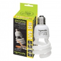 Lampadina per sole naturale Komodo 15W - lampadina UVB 2.0