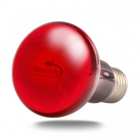 Terrário Nangola Red Luz Noturna 25W