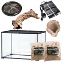 Conjunto de Gecko Leopardo - set para gecko leopardo 50x30x35