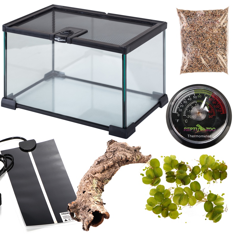 Vattengroda och padda terrarium set