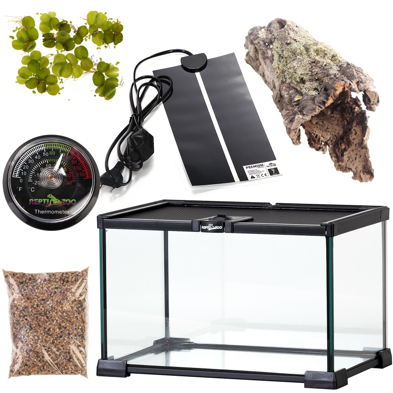 Vattengroda och padda terrarium set