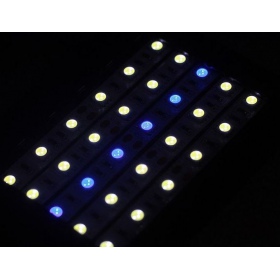 Repti-Zoo LED-lamp voor terrarium