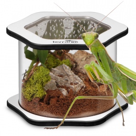 Terrarium Spiders Tube Big100 akrylowe