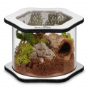 Terrario Spiders Tube Big100 - acryl terrarium