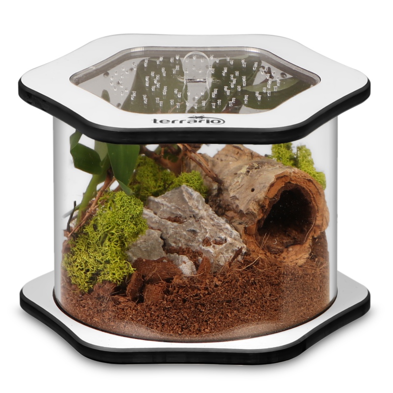 Terrarium Spiders Tube Big100 akrylowe