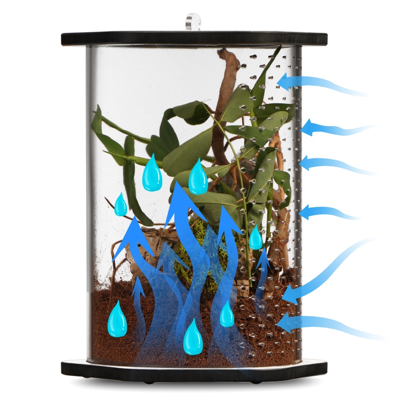 Terrario Spiders Tube Big150 - Akrylowe Terrarium