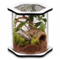 Terrario Spiders Tube Big150 - acryl terrarium