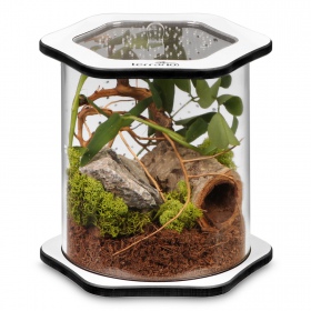 Terrario Spiders Tube Big150 - Akrüülterrarium