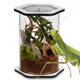 Terrario Spiders Tube Big200 - acrylic terrarium