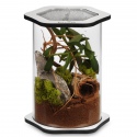 Terrario Spiders Tube Big200 - acryl terrarium