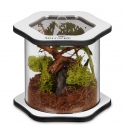 Terrario Spiders Tube Med100 - acrylterrarium