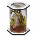 Terrario Spiders Tube Med150 - acryl terrarium