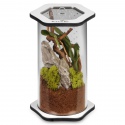 Terrario Spiders Tube Med200 - acryl terrarium