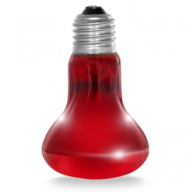 Resun Infrarot Spotlampe 75w - Infrarotlampe