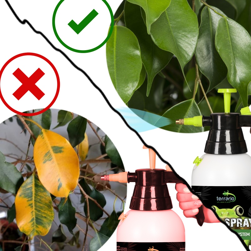 Terrario Troppi Sprayer 1500ml - perfekt för växter