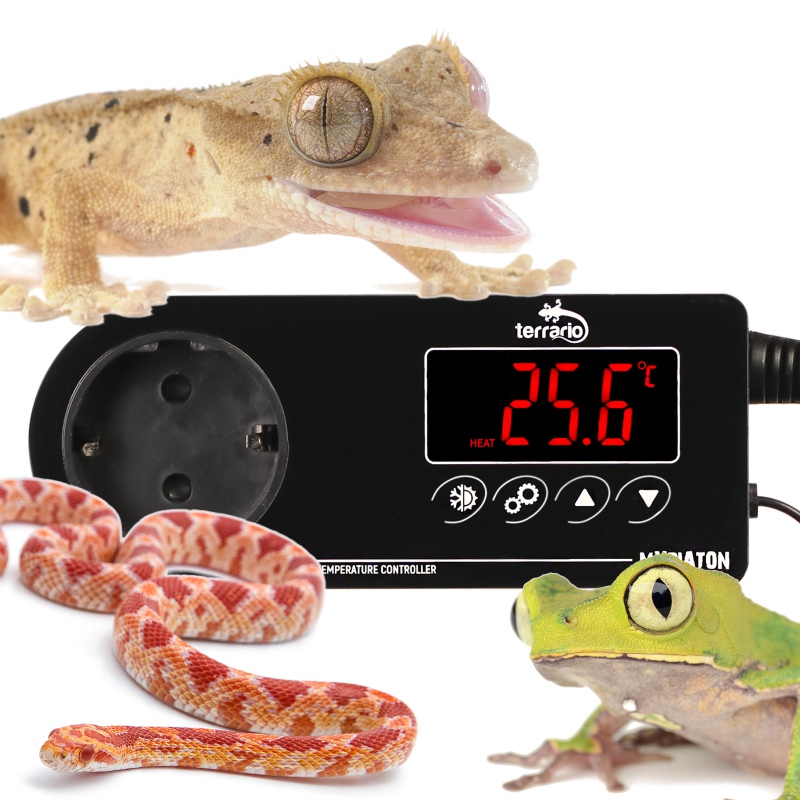 Thermostat Myriaton pour terrarium