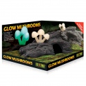 EXO TERRA Glow Mushrooms - caverna com cogumelos