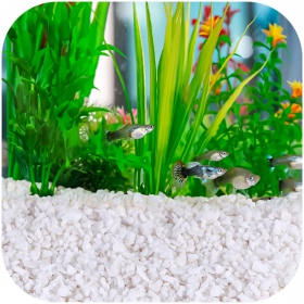 Eco Plant Fiume Bianco 1kg