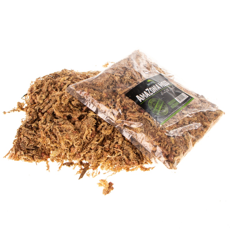 Terrario Amazonia Moss 1000ml - sphagnum moss