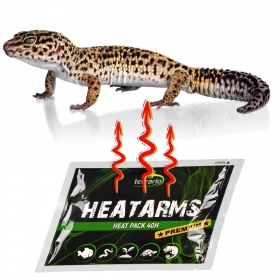 Terrario Heatarms Heat Pack 40H - Tiertransportheizgerät - 1000 Stück