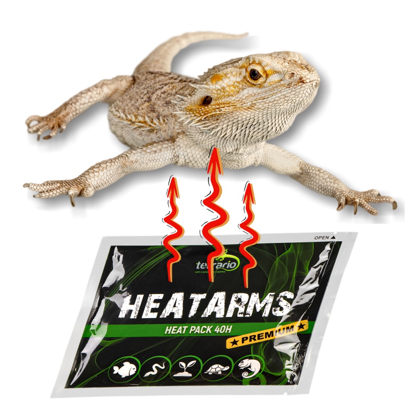 Terrario Heatarms Heat Pack 40H - Tiertransportheizgerät - 1000 Stück