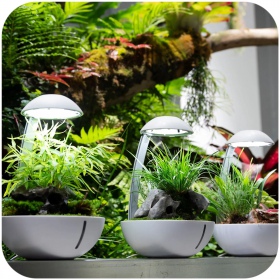 Chihiros Tiny Terrarium Egg met planten en verlichting