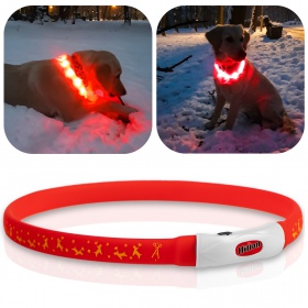 Hilton Flash Collar Rood voor honden