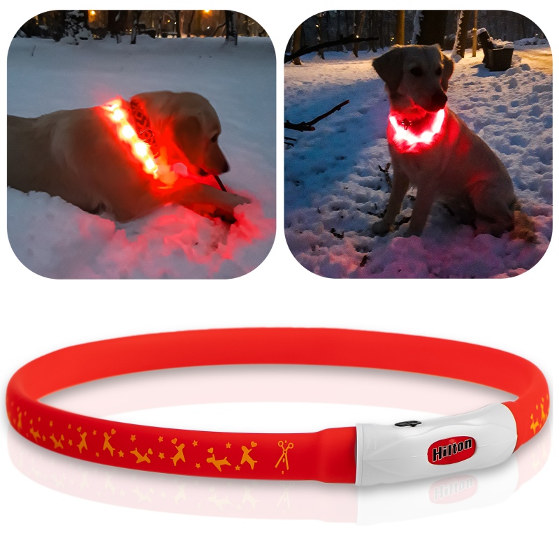 Hilton Flash Collar in Red - Adjustable LED Safety