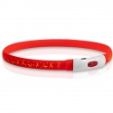 Collar Flash Hilton ROJO - collar LED que brilla de 15 cm a 55 cm