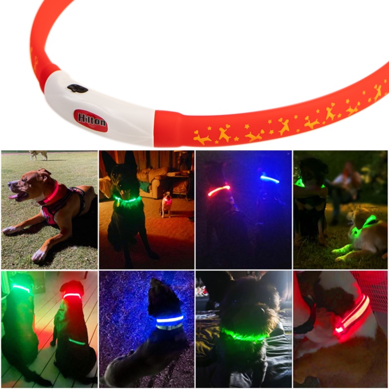 Hilton Flash Collar in Red - Adjustable LED Safety