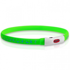 Hilton Flash LED collar in green