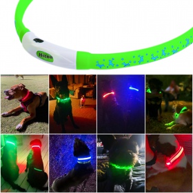 Hilton Flash LED collar in green