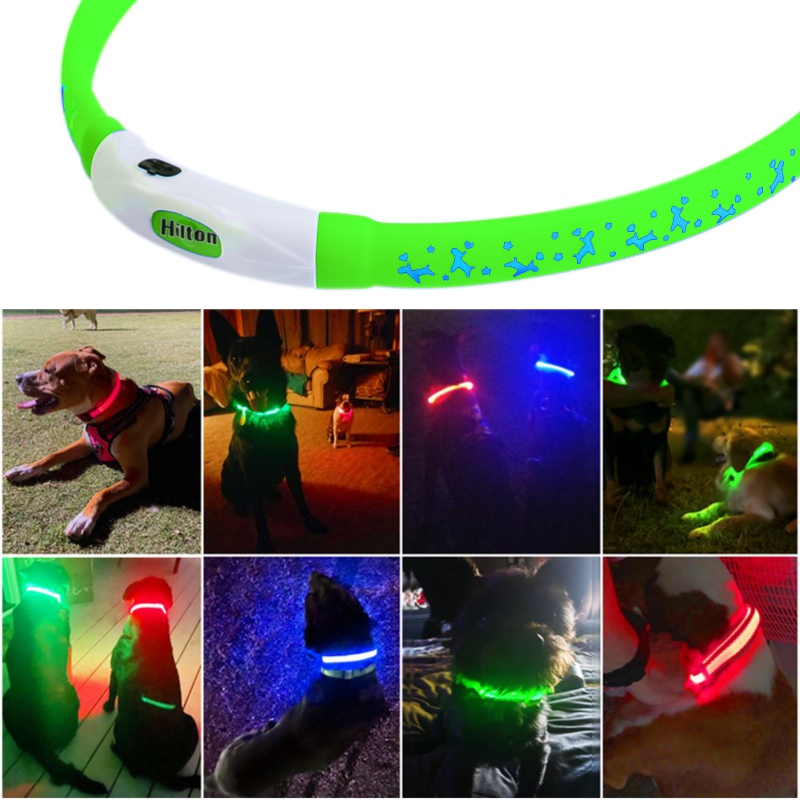 Hilton Flash Collar GRÜN - LED-Leuchthalsband von 15 cm - 55 cm