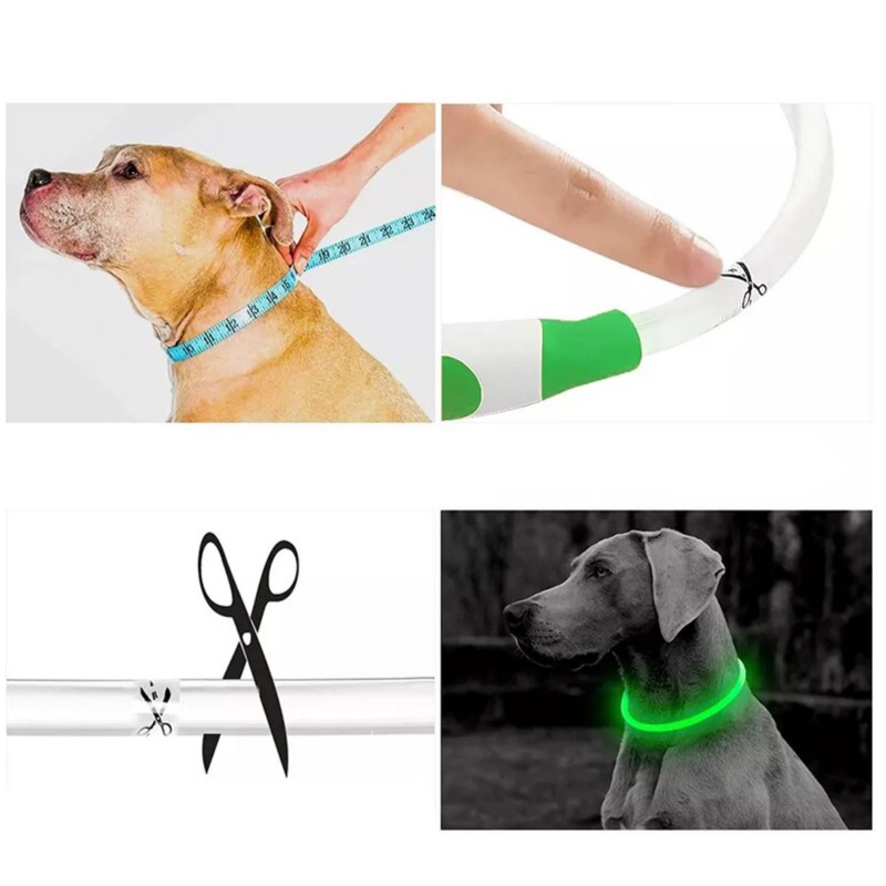 Collar Flash Hilton VERDE para perros