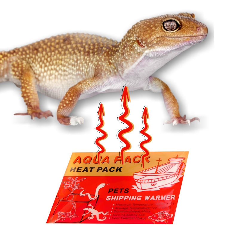 Aqua Heat Pack Gold 40H - 100 sztuk zestaw