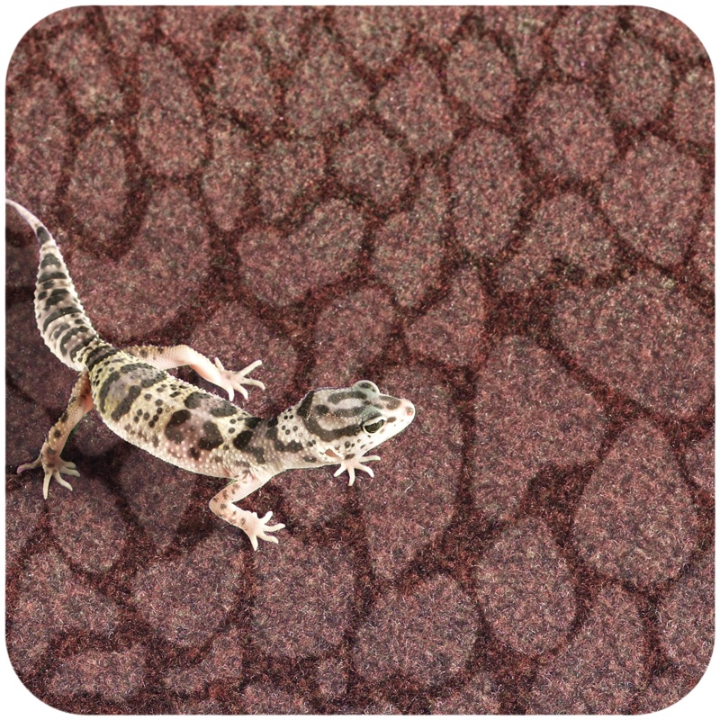 Resun Desert Carpet Mat 90x45cm - Mata do Terrarium