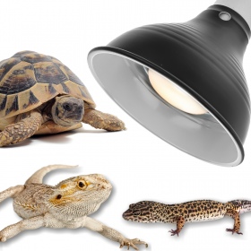 Resun Reptil Schwarz Lampe BIG - Terrariumlampe