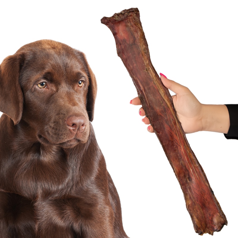 Dogario Bonni Rindfleisch Chips XXL 30-40cm für Hunde