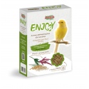 Alegia Enjoy nourriture pour canari 450g