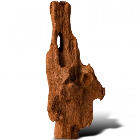 Filippine Classic Driftwood XXS - 10cm