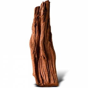 Filippine Classic Driftwood XXS - 10cm