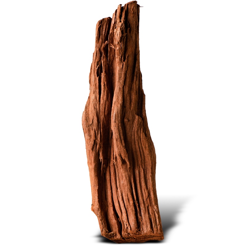 Philippines Classic Driftwood - XXS 10cm